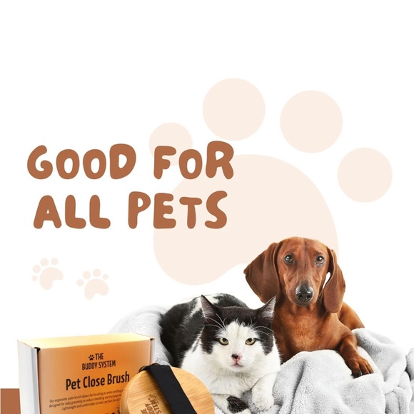 Bamboo Massage Handheld w/ Soft Boar Bristles -Elastic Band- gift with purchase - Picture 4 of 5